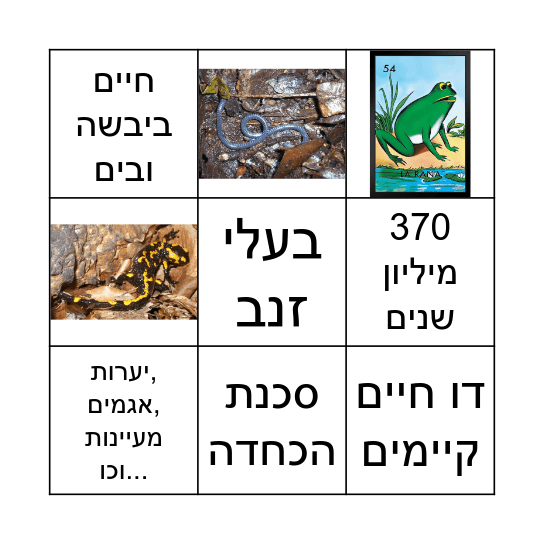 דו חיים Bingo Card