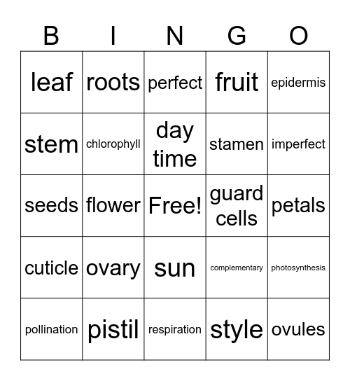 Plants and Plant Processes Bingo Card