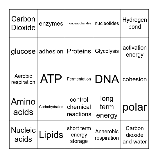 Biochemistry and Cell Energy Bingo Card