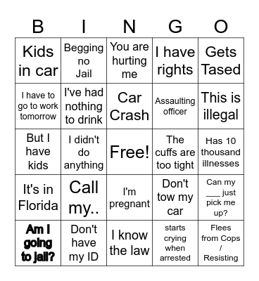 Police body cam Bingo Card