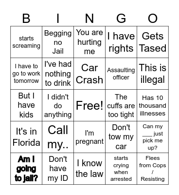 Police body cam Bingo Card