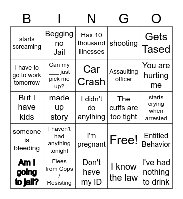 Police body cam Bingo Card