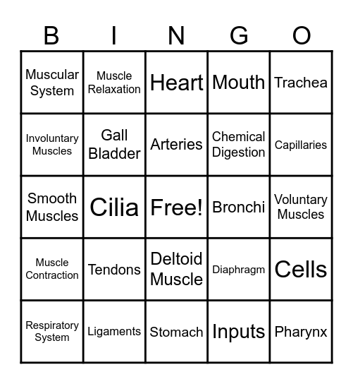 Body Systems Bingo Card