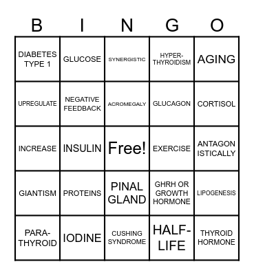 Endocrine Review! Bingo Card