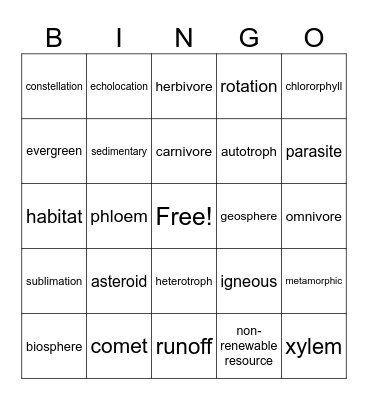 Science Camp Bingo Card