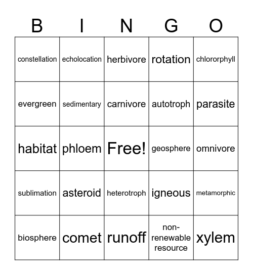 Science Camp Bingo Card