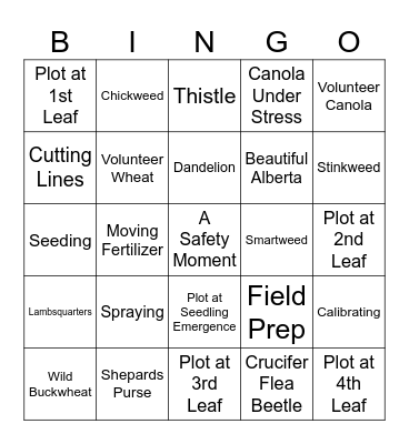 May/June BASF Summer Student Bingo Card