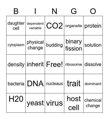 Supercharged Science Bingo Card