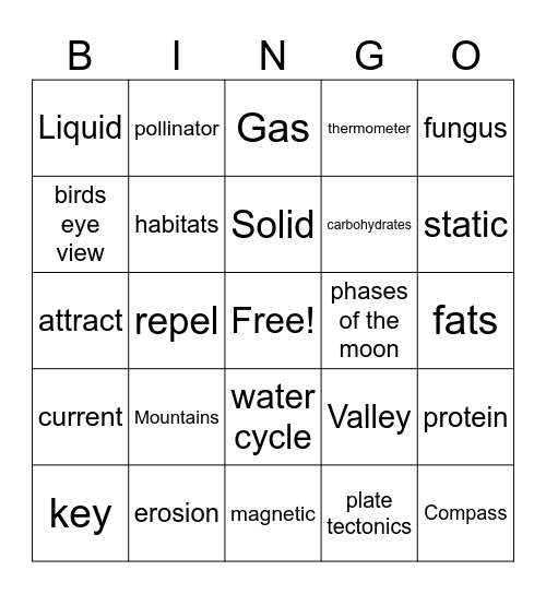 Science Terms Bingo Card