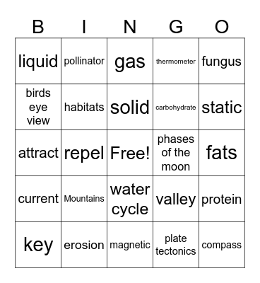 Science Terms Bingo Card