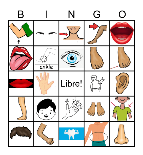 Las partes del cuerpo Bingo Card