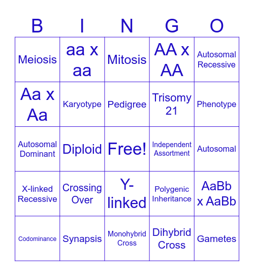 Heredity Review Bingo Card