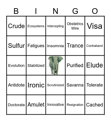 Thunder Cave Vocabulary Bingo Card