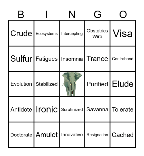 Thunder Cave Vocabulary Bingo Card