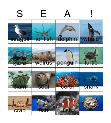 Ocean Life Bingo Card