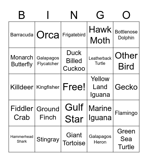 Galapagos Bingo Card