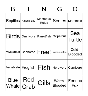 Animal Bingo Card