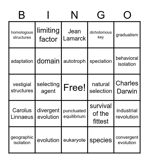 Evolution Bingo Card