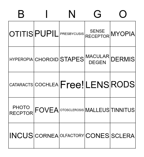 "SENSES BINGO" Bingo Card