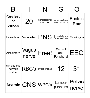 MA 10 Week 4 Theory Exam Bingo Card