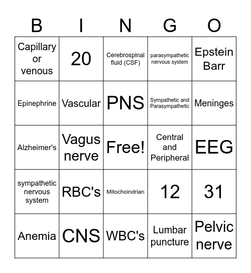 MA 10 Week 4 Theory Exam Bingo Card