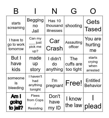 Police body cam Bingo Card