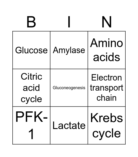 Cellular metabolism and production of energy Bingo Card