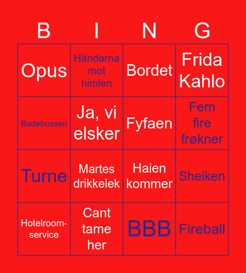 17. mai BINGOOOOO Bingo Card