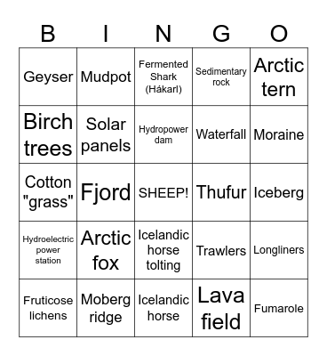 Iceland 2024 Bingo Card