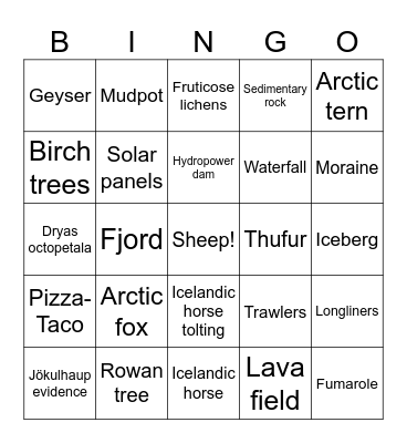 Iceland 2024 Bingo Card
