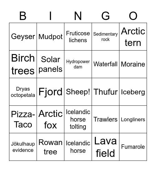 Iceland 2024 Bingo Card