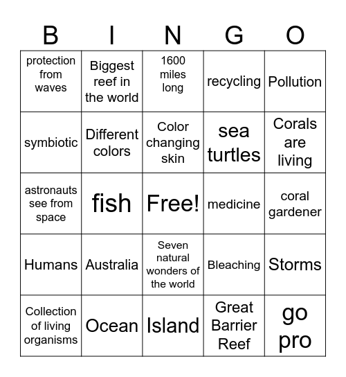 great barrier reef Bingo Card