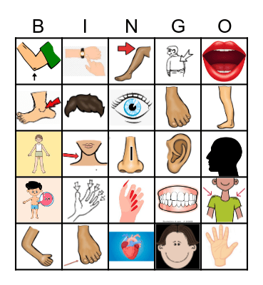 BODY PARTS: English Bingo Card