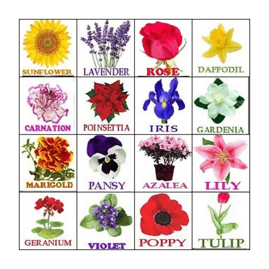 Flower Bingo Card