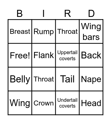 Bird Topography Bingo Card