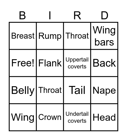 Bird Topography Bingo Card