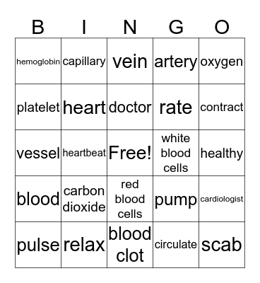 CIRCULATION SYSTEM Bingo Card