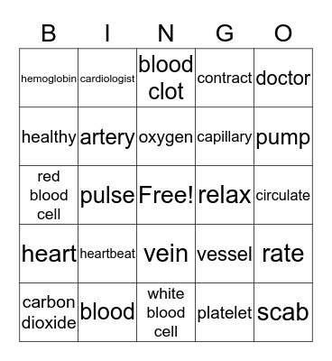 CIRCULATORY SYSTEM Bingo Card