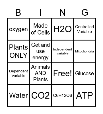 Photosynthesis, Respiration, Variables Bingo Card