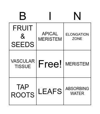 Structure of a Flowering Plant Bingo Card