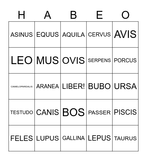 Animalia Habeo Bingo Card