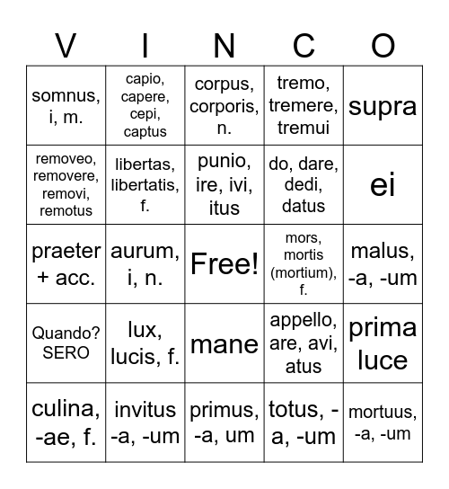 Ecce Romani Ch. 21 mrhs Bingo Card