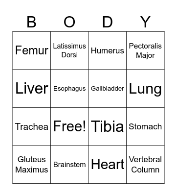 Human Body Bingo! Bingo Card