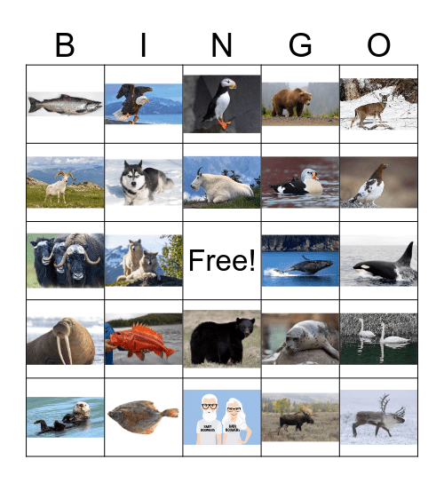 Alaskan Wildlife Bingo Card