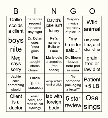 BVC BINGO Card