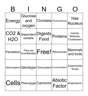 Science Final Bingo Card