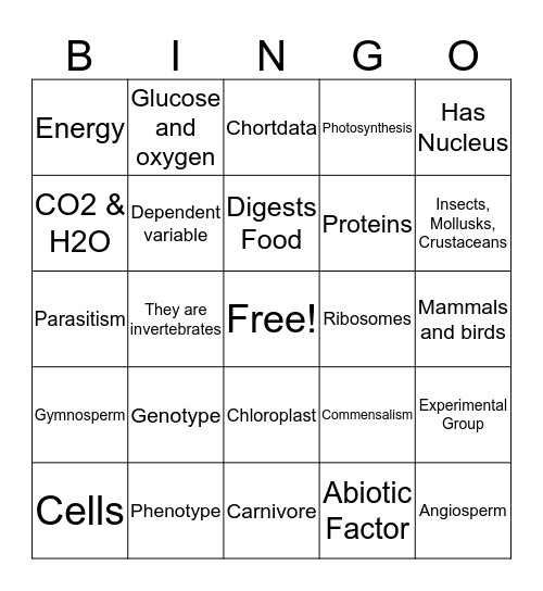 Science Final Bingo Card