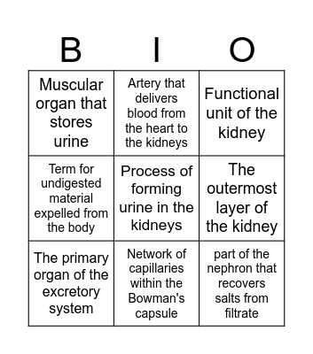 Excretory System Bingo Card