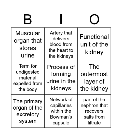 Excretory System Bingo Card