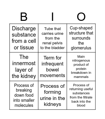 Excretory System Bingo Card